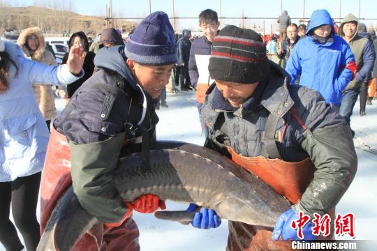 1月30日,辽宁省彰武县冬捕节的场景 沈殿成 摄 1月30日,辽宁省彰武县冬捕节的场景 沈殿成 摄