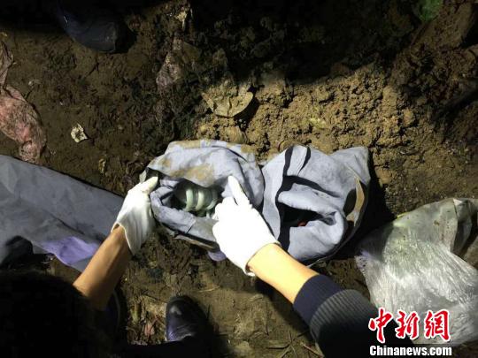 除夕夜浙江永康发生240万特大盗窃案 警方速破 永康公安 提供 摄 除夕夜浙江永康发生240万特大盗窃案 警方速破 永康公安 提供 摄