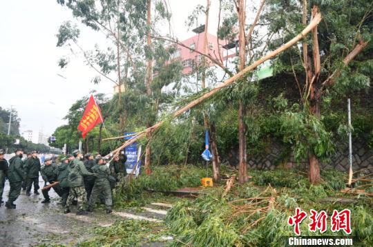 9月16日,武警福建总队1800多名官兵在厦门集结,分别奔赴多处受灾地点展开疏通道路工作。 李涛 摄 9月16日,武警福建总队1800多名官兵在厦门集结,分别奔赴多处受灾地点展开疏通道路工作。 李涛 摄