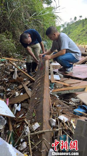 工作人员正在积极搜集散落的廊桥木构件 季海波 摄 工作人员正在积极搜集散落的廊桥木构件 季海波 摄