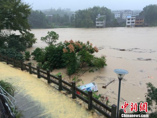 强降雨突袭,泰顺县泗溪镇河水暴涨 钟哓波 摄 强降雨突袭,泰顺县泗溪镇河水暴涨 钟哓波 摄
