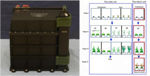 高等植物培养箱(图片来源:中国科学院) 高等植物培养箱(图片来源:中国科学院)